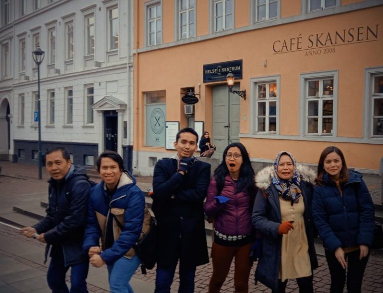 Norway Northern Lights