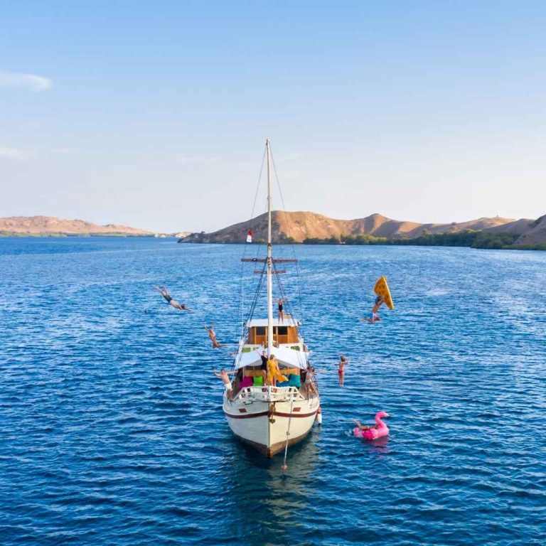 Sewa Pinishi Bajo Terjamin