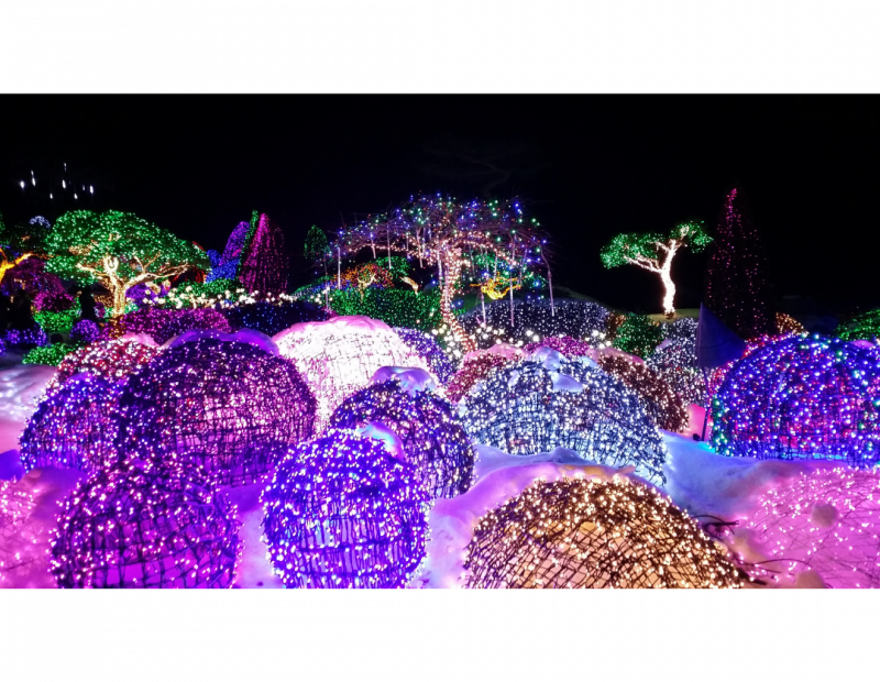 The Garden of Morning Calm