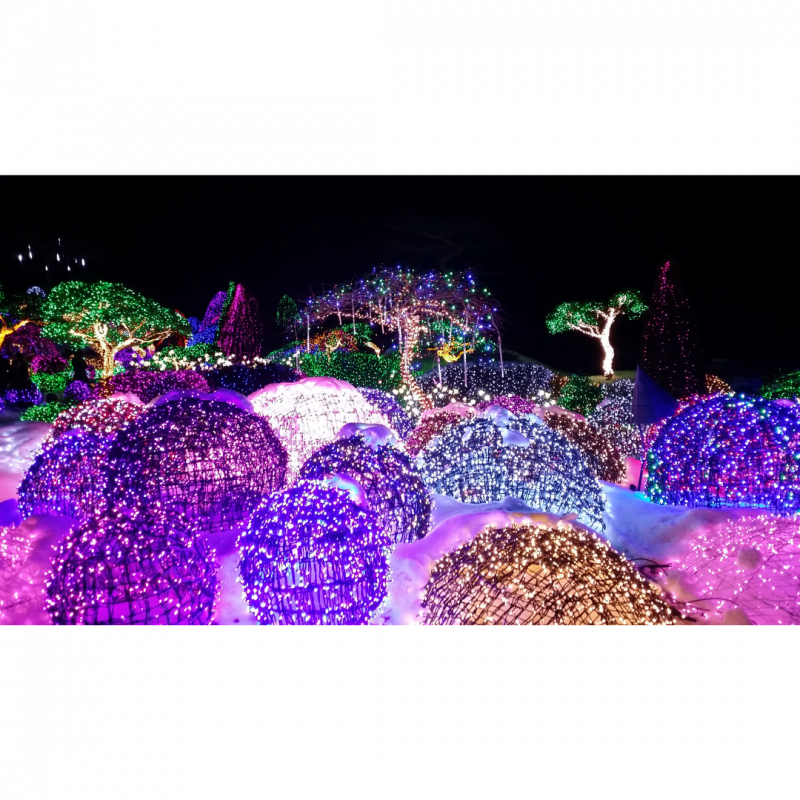 The Garden of Morning Calm