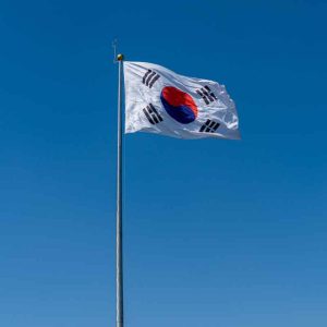 Agent Visa Korea